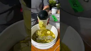 Crazy Cucumber makes the BEST pickles!