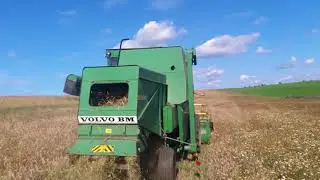 Volvo BM S830 harvesting eco triticale in Lithuania 2k18