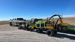 Stump grinding VS stump removal