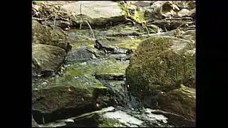 slipstream [fake VHS lofi]