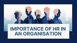 The importance of HR in an organisation | HR's day | hex business innovations