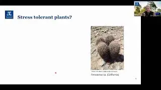 Adapting to climate change and drought: Are stress tolerant plants the right goal?