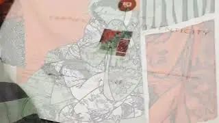 Megan Salmon - Limited Edition Silk Scarf - Gift with Purchase