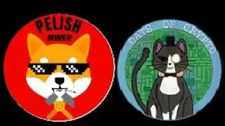 Crypto Market Update and #CatsOfCrypto #crypto #memecoin