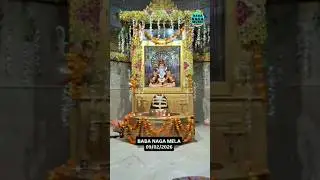 Jai baba Naga ki #shorts #shortvideo #shortfeed #ytshorts #naga_baba #trending #viral #trendingaudio