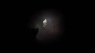 Pessimist - Mist