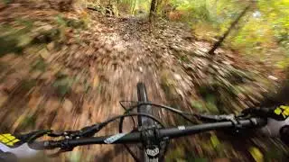 Stile cop red run-Bird Aeris AM9