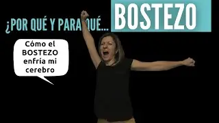 ¿Por qué BOSTEZAMOS? Hipótesis y certezas sobre la fisiología del bostezo