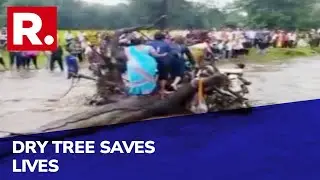 As Heavy Rains Lash MP's Betul, Residents Forced To Find Refuge On Trees Amid Floods | Watch