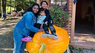 Cornfusion fun time outdoor #Baby #pumpkin #farm activities for kids and adults. #cornmaze #Maryland
