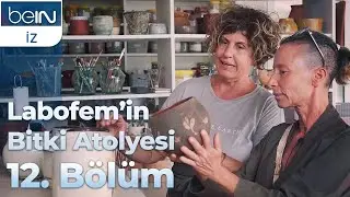 Labofem'in Bitki Atölyesi 12. Bölüm