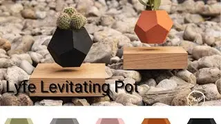 Lyfe Levitating Pot