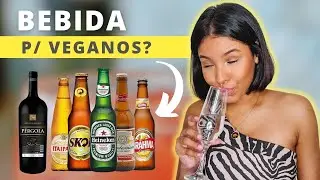 BEBIDAS ALCO&Oacute;LICAS | Descubra quais s&atilde;o aptas para veganos! 🍺🍷