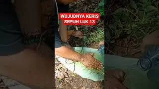 WUJUDNYA KERIS LUK 13‼️#penarikanpusaka #kerisbertuah #sakti #berkhodam #viral #shorts