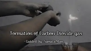 Formation of Carbon Dioxide Gas | Chemistry Experiment | Class 10th