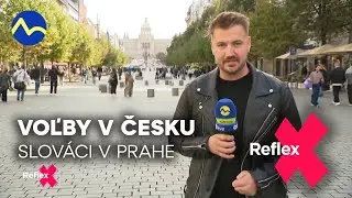 Slováci žijúci v Čechách: ako vidia voľby u našich bratov? | Reflex