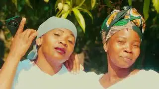 Dr Dias - Estelia - Official By The King Seven TK7 