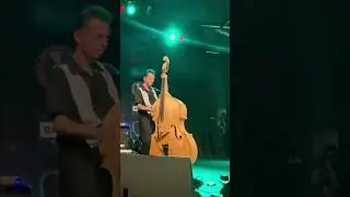 Rockabilly Bass #shorts