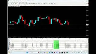 Infinity forex HFT ea that turns 100$ Live account into 7000$ i just 2 hours