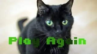N2 the Talking Cat S3 Ep5 - Cat Video Game (Defender Cat)