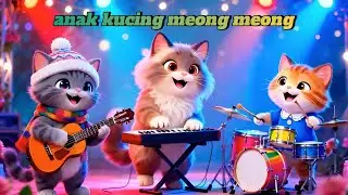 Anak Kucing Meong Meong - Lagu Anak Lucu