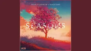 Seasons