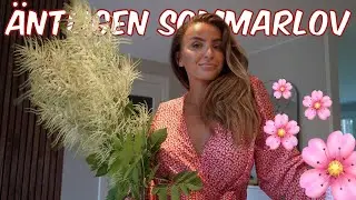 VLOGG 483 - VARFÖR HAR JAG INTE TÄNKT PÅ DETTA?!