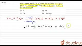 How  many molecules of water are needed by a green  plants to produce one molecule