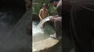 Village Life Diesel Peter Engine | Old village Memories #pakistani #village #villagevlog #fypviral