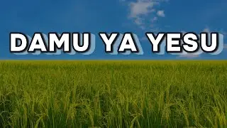 DAMU YA YESU