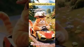 The police caught the cat🐈🐈🐈 #short#ai#vidio#