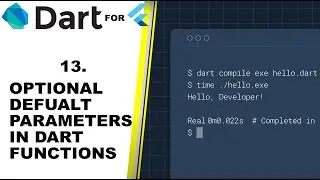 OPTIONAL DEFUALT PARAMETER IN FUNCTIONS