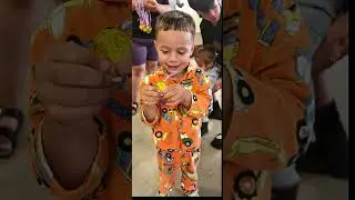 Te Wao Family Reunion Te Papa o Rotu Marae 2025