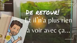 Aquarium cubique: changement de look!