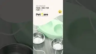 Game-Changer Pet Bowls 🐶🪄 | No Mess, Easy Feeding! #USAPetCare