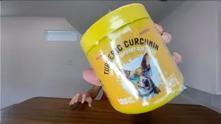 Best Turmeric Curcumin Dog Chews
