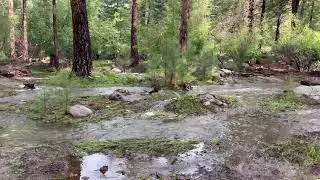 More Pine Valley Utah Flooding