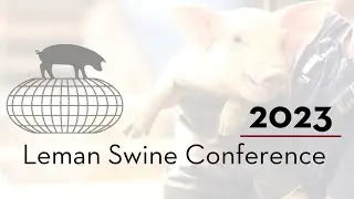 Integrating health and feeding management strategies during lactation: Focus on the sow