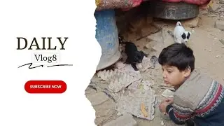 Bad boy banaa good boy 😎😎😎😅 #volg #dailyvlog #minivlog #lifestylevlog #familyvlog 