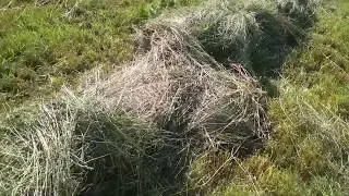 Новые грабли гребут отлично.