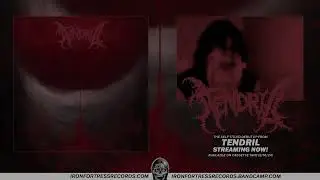 TENDRIL - TENDRIL (Iron Fortress Records)