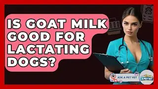 Is Goat Milk Good For Lactating Dogs? - Ask A Pet Vet