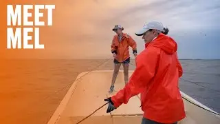 Career switch to shark research
