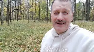 4 подводных путешествия в Таиланд, этой зимой