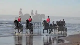 Stal Okkema on beach ride