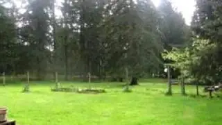 24442 South Elwood Road, Colton, OR 97017