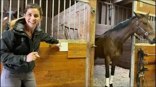 Barn Hack And Tack DIY