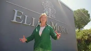Hotel du Vin - Meet the Makers - Elias Mora