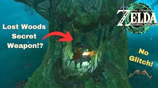 5 Shot Forest Dweller's Bow! No Glitch! Zelda Tears of the Kingdom
