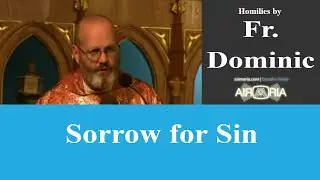 Sorrow for Sin - Sep 19 - Homily - Fr Dominic